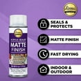 thumbnail image 3 of Aleene's Clear Acrylic Spray Sealer, Matte 6 oz, 3 of 10