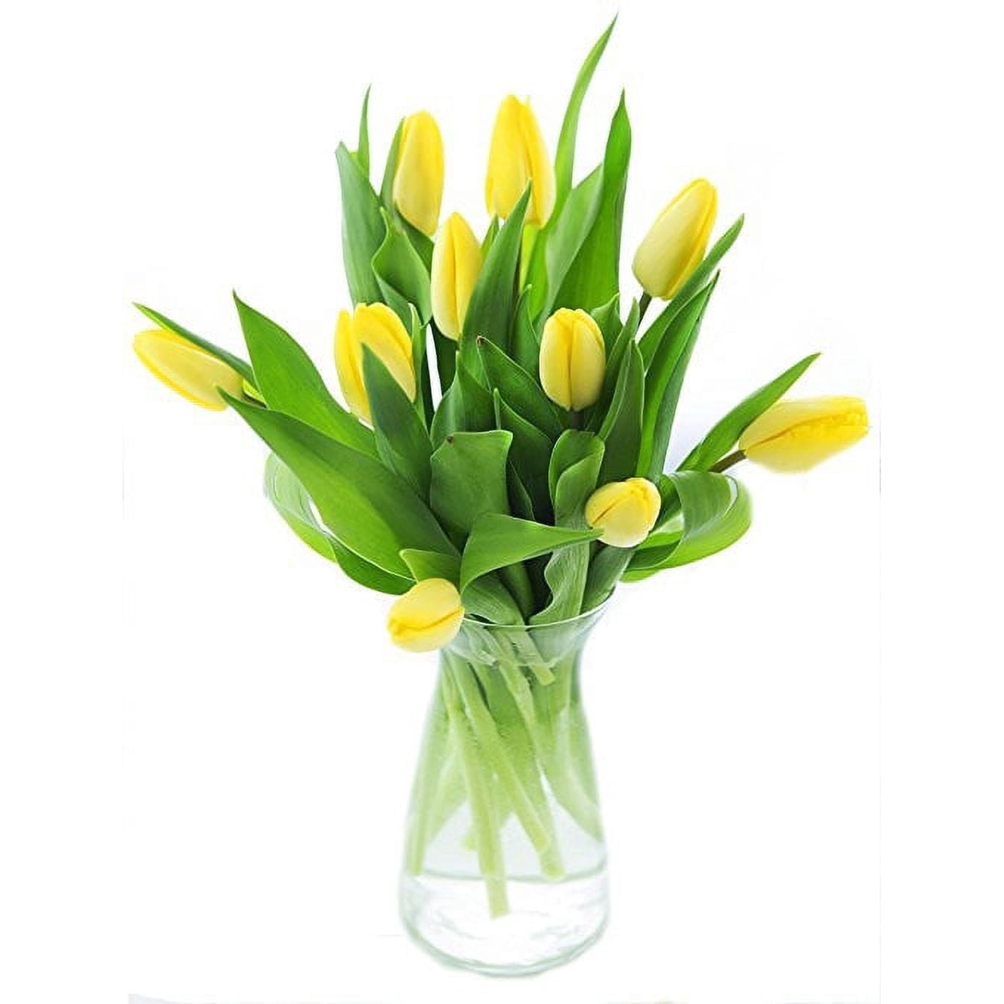 KaBloom : Bouquet of Fresh Yellow Tulips with Vase, Next-Day Delivery, Gift for Every Occasion
