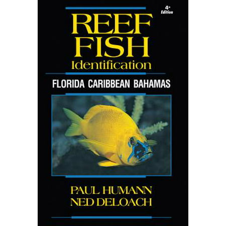 Reef Fish Identification : Florida Caribbean