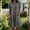 Dark Gray, variant on IUYRTFE Women's Short Sleeve Collared Button Down Shirt Dress with Pockets Cotton Linen Loose Fit Summer Casual Midi Dress