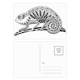 thumbnail image 1 of Larga cola de lagarto retrato animal sketch Set cumpleaños gracias tarjeta postal correo lado 20pcs, 1 of 3