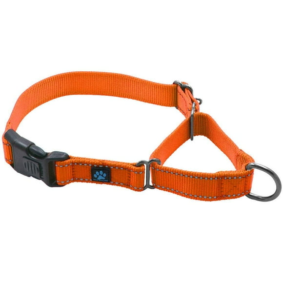 Max and Neo Nylon Martingale Collar - We Donate a Collar to a Dog Rescue for Every Collar Sold (Medium Orange)