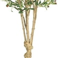 thumbnail image 3 of Arbre en Soie d'Olivier de 5 Pieds, 3 of 7