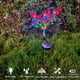 thumbnail image 4 of Luces de jardín decorativas al aire libre, luces solares de flores del anochecer al amanecer, luces solares de estaca de jardín, 4 of 7