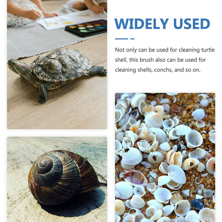 2pcs Aquatic Tortoise Turtle Shell Cleaning Brush Shells Mud Removing Brush  Dirt Remover 