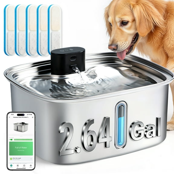 Vacqueen Large Stainless Steel Automatic Dog Water Fountain with 5 PCS Filter & Sponge,2.64-gal