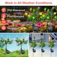 thumbnail image 3 of Qoosea Solar Flower Lights Outdoor 2 pack Gardenia Lights, 11 Head Led Solar Stake Light, Waterproof Pathway Light for Garden, Patio, Yard Decoration, 3 of 8
