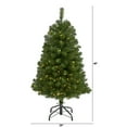 thumbnail image 3 of 4ft. Virginia Fir Artificial Christmas Tree with 100 Clear Lights and 223 Bendable Branches, 3 of 8