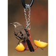 thumbnail image 1 of Droll Yankees DYFF 4" Diameter Fruit Feeder, 1 of 2