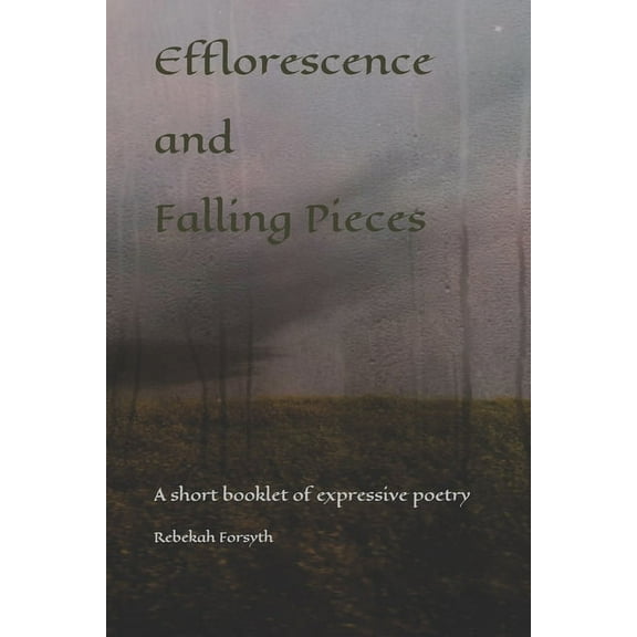 Efflorescence and Falling Pieces : A short booklet of expressive and storytelling poetry (Paperback)