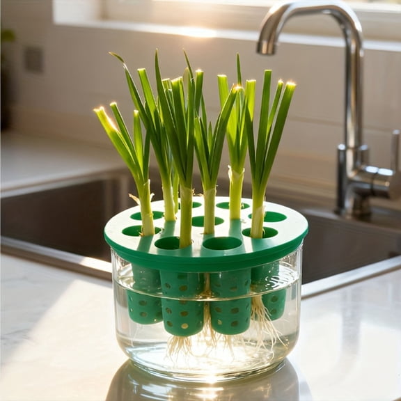 9-Hole Hydroponic Planter Box for Scallions & Herbs | Soilless Regrowth | Kitchen Countertop & Desktop Gardening | Green Plastic | 1-Piece