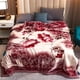 thumbnail image 3 of Manta Raschel estampada de gama alta para cama, suave, cálida, gruesa, edredones dobles individuales, mantas ponderadas amigables con la piel, Invierno, 3 of 4