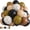Black Brown Leopard, variant on Giraffe Print Balloons Set, 12 Inch Safari Animal Deer Print Latex Balloons for Kids Two Wild One Birthday Decorations Baby Shower Forest Woodland Zoo Jungle Wildlife Theme Safari Party Decorations