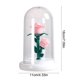 thumbnail image 3 of Luz de Noche con Flores Preservadas | Minilámpara Led Ambiental | Lámpara de Noche con Luz Cálida | Decoración para El Hogar para San Valentín, Cumpleaños y Navidad | Luz de Noche Portátil de Bajo Co, 3 of 6
