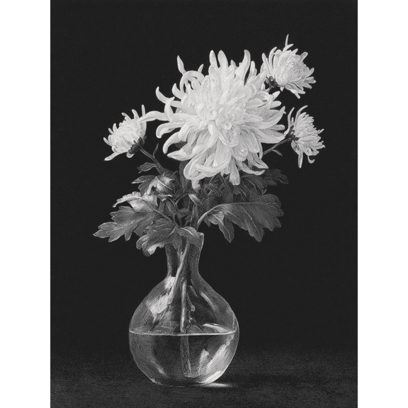 White Chrysanthemum Vase Canvas Print, Ideal Wall Art for Living Room Bedroom Dining Room Office Hallway Entryway Home