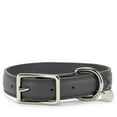 thumbnail image 1 of Maxbone Coco Charcoal Dog Collar, Small, 1 of 1