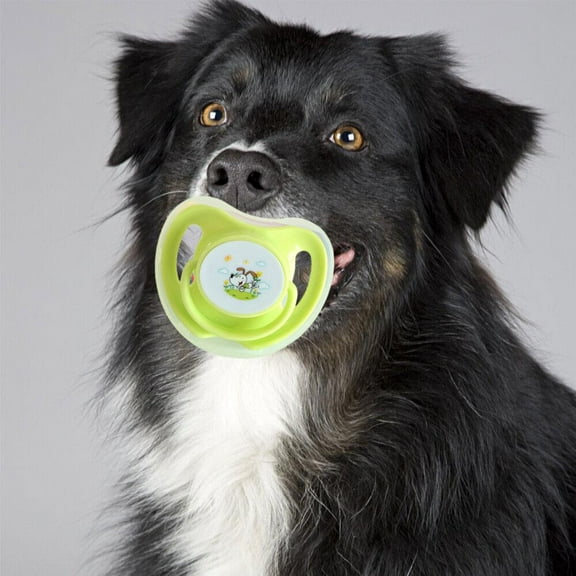 Clerance! Pet Dog Silicone Pacifier Puppy Pacifier Cartoon Cute with Cap