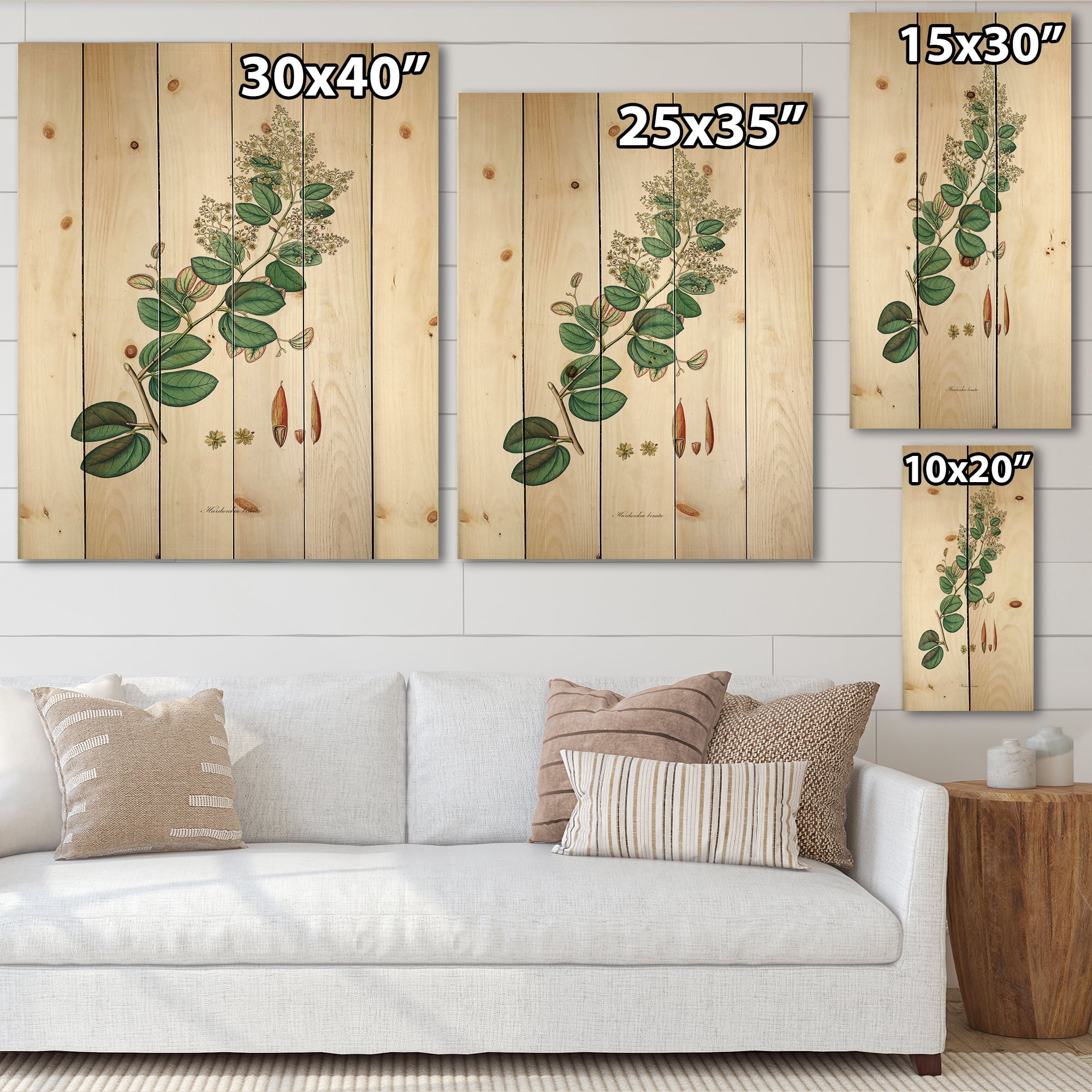 Designart 'Ancient Botanicals XIII' Farmhouse Print on Natural Pine Wood