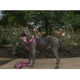 thumbnail image 3 of Country Brook Petz® Pink Bone Camo Step-In Dog Harness, Medium, 3 of 4