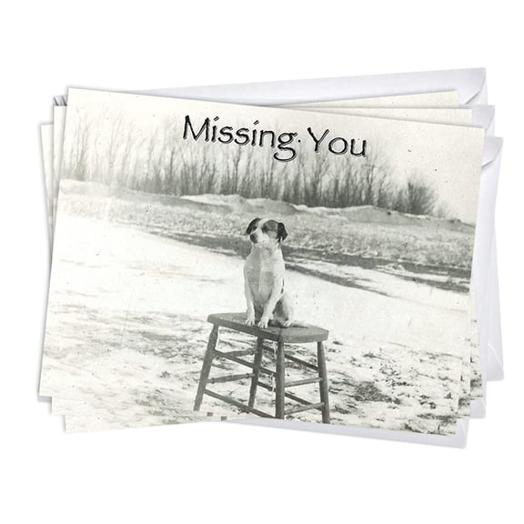 Dog on Stool Thinking of You Encouragement Greeting Cards | 3 Pack Set (5x7)