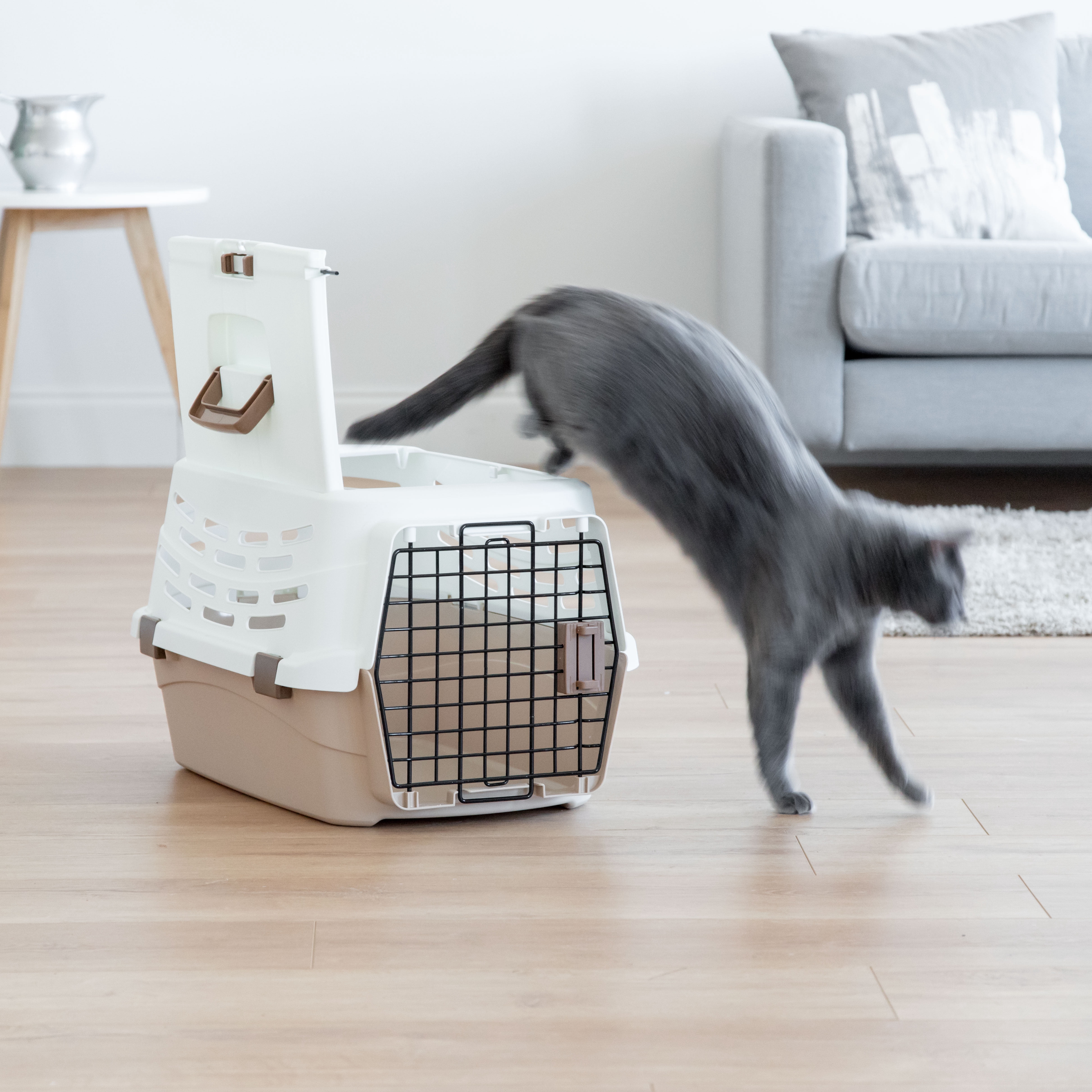 IRIS Medium Pet Travel Carrier, Off-White/Brown