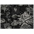 thumbnail image 2 of Area Rugs Indoor Non-Slip Rectangle Rug 2x3 Ft Vintage Starfish Ocean Teal Brown Black Retro Rug Rubber Backing Floor Mats Non Shedding Home Decor Carpet for Entryway Living Room, 2 of 8