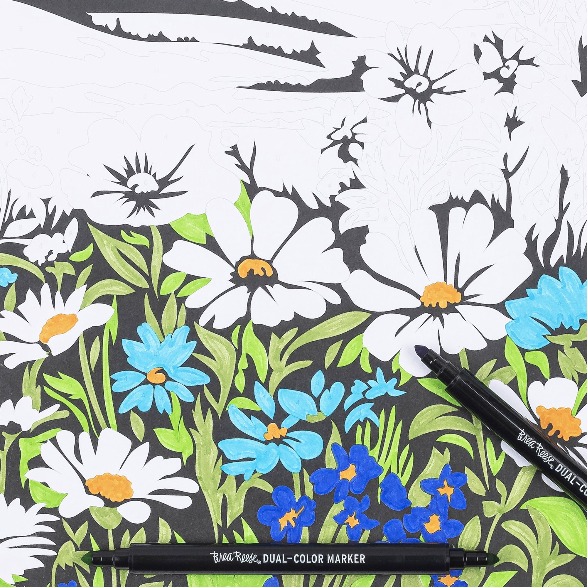 Brea Reese: Marker Color-by-Number Kit - Mountain Landscapes - 5 Dual-Tip Markers, 12 Designs, Guided Art, 8.5 x 9.75" Pages, Adult Spiral Art Pad