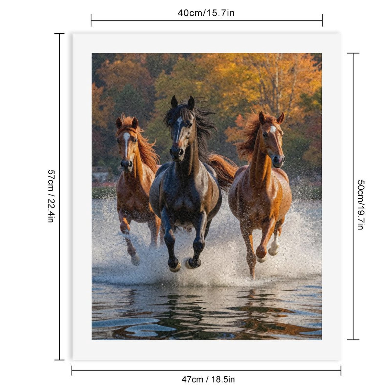 Paint by Numbers Kit for Adults, Horses Galloping Water Autumn Scene Paint by Numbers, Easy Paint by Numbers Kit for Adults Beginner, DIY Adult Paint by Number Kits on Canvas, Home Decor