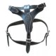 thumbnail image 1 of Pechera De Piel Ajustable Para Perro, Talla 4, 1 of 5