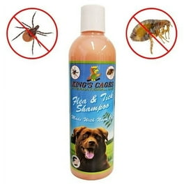 Neem oil for ticks on dogs best sale