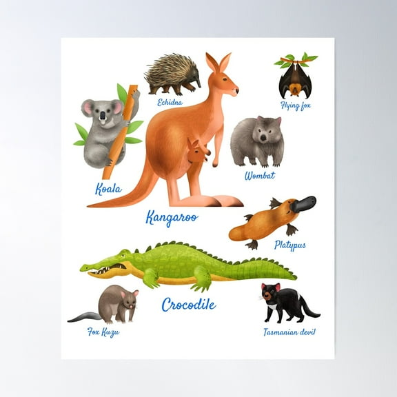 Animals Of Australia | Australian Animals Educational Poster Wall Art, Modern Wall Decor For Living Room Bedroom, 12x18 UNFRAMED