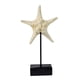 thumbnail image 2 of Estatua de estilo playero, adorno de mesa, decoración del hogar, delicada figura artística del océano Estrella de mar, 2 of 9
