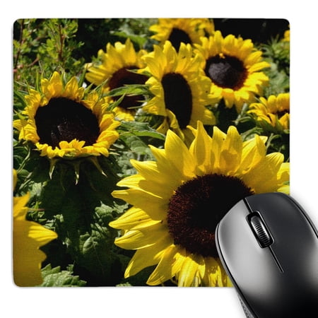 3dRose  Field of Sunflowers  MousePad price history on PriceWatchPro