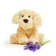thumbnail image 1 of Push Animal Warmies Golden Dog, apta para microondas, con aroma a lavanda, 1 of 8