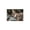 Color 10, variant on SPXUBZ Cute Bear Face Pattern Print Non Slip Kitchen Mats Bathroom Rugs Floor Mats for Floor 28.4W x 20.5H inch