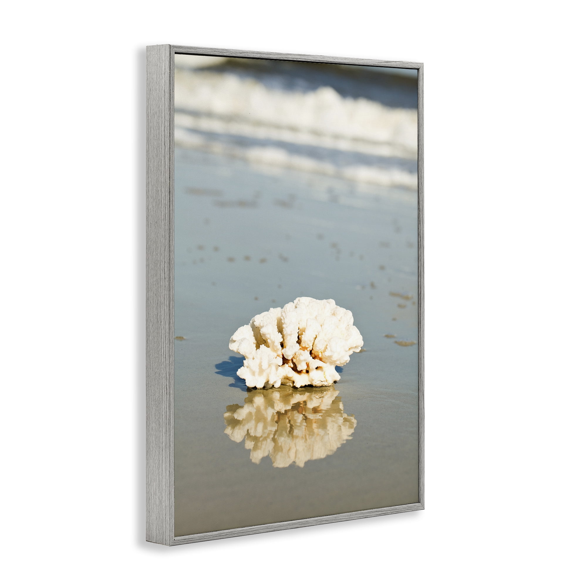 Stupell Industries Coral on Sea Shore Coastal Photography Gray Framed Art Print Wall Art, 20 x 30