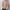 Khaki, variant on Oalirro Men's Mock Neck Sweater Classic Midweight Long Sleeve Pullover Regular Fit Basic Soft Touch Kintted Sweater