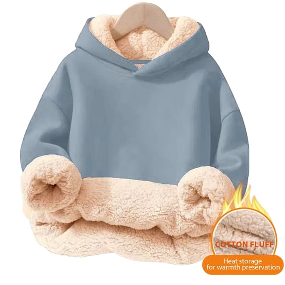 Tiijoy Toddler Boys Lined Hoodie Soft Cozy Pullover Hooded Sweatshirt, Sizes 3-4T