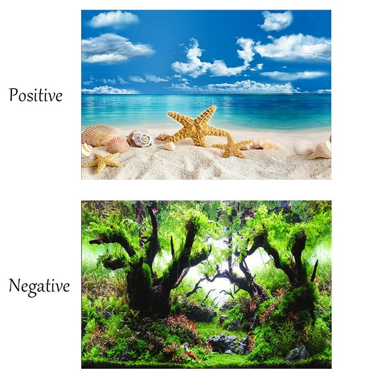 Aquarium Vinyl Background