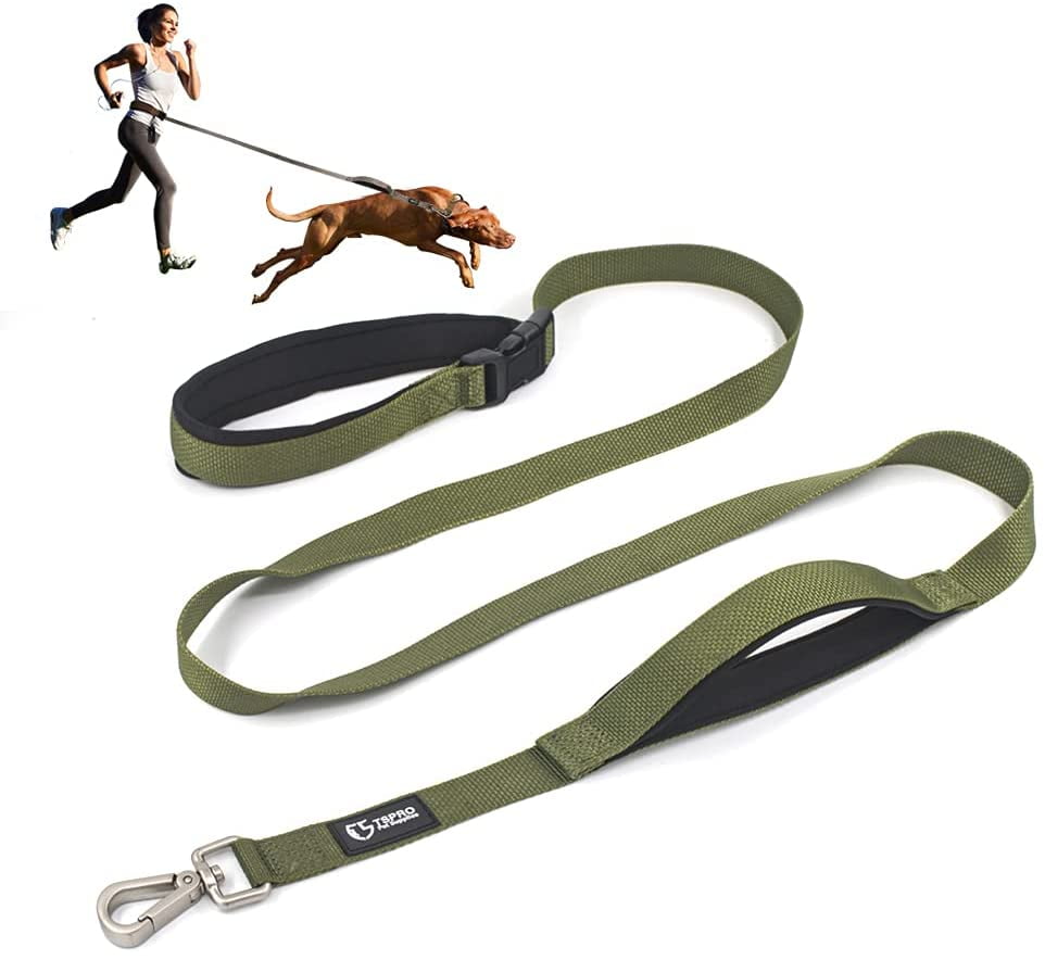 safety leash for dogs