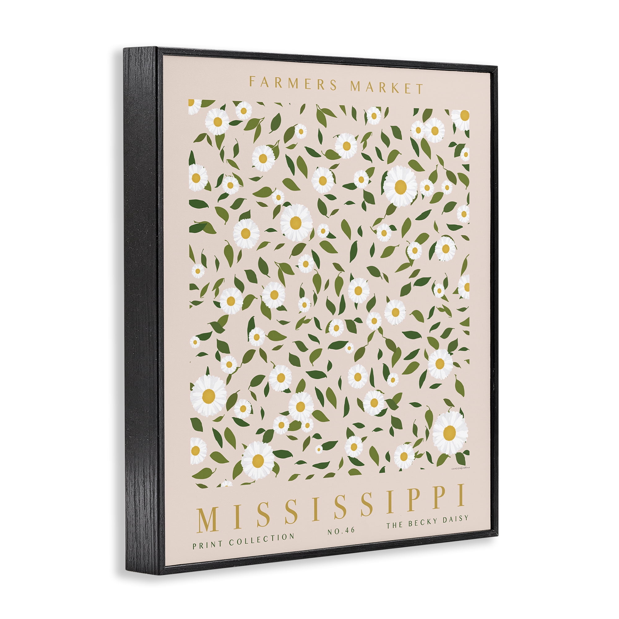 Stupell Industries Mississippi Daisy Pattern Typography Painting Black Framed Art Print Wall Art, 16 x 20