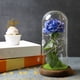 thumbnail image 5 of Lámpara De Rosa De Simulación, Rosa Inmortal, La Bella Y La Bestia, Linterna De Rosa, Flor Eterna, Cubierta De Cristal, Decoración, Decoración De Luz Rosa Yuarrent HA026722-03, 5 of 5