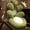 Green, variant on Flower Seat Cushion with Backrest, One-Piece Plush Chair Cushion, Comfortable Floor Butt Cushion for Hanging Basket, Tatami and Window Seat