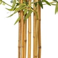 thumbnail image 4 of Vickerman 6' Artificial Potted Green Bamboo Tree., 4 of 6