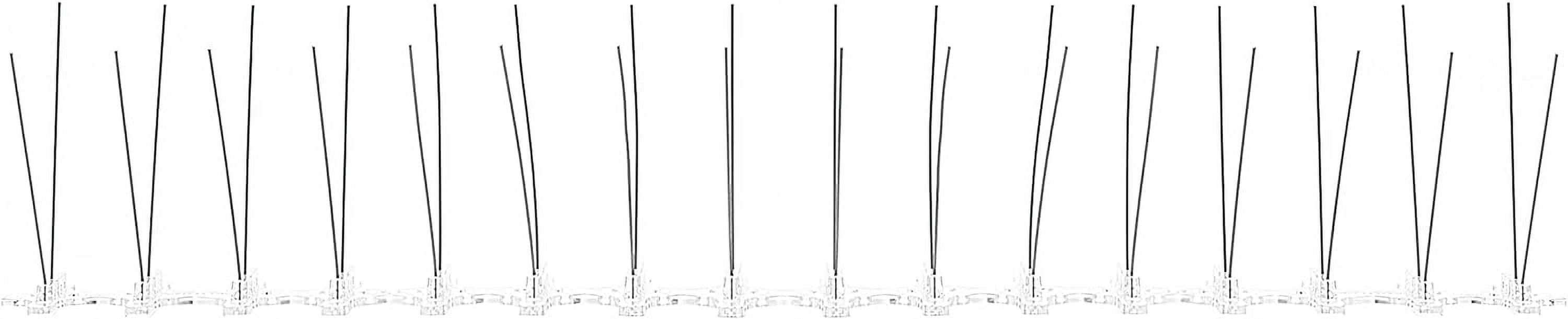 Bird B Gone MMBBG2001-3/50 3in - 50ft. Stainless Steel Bird Spikes