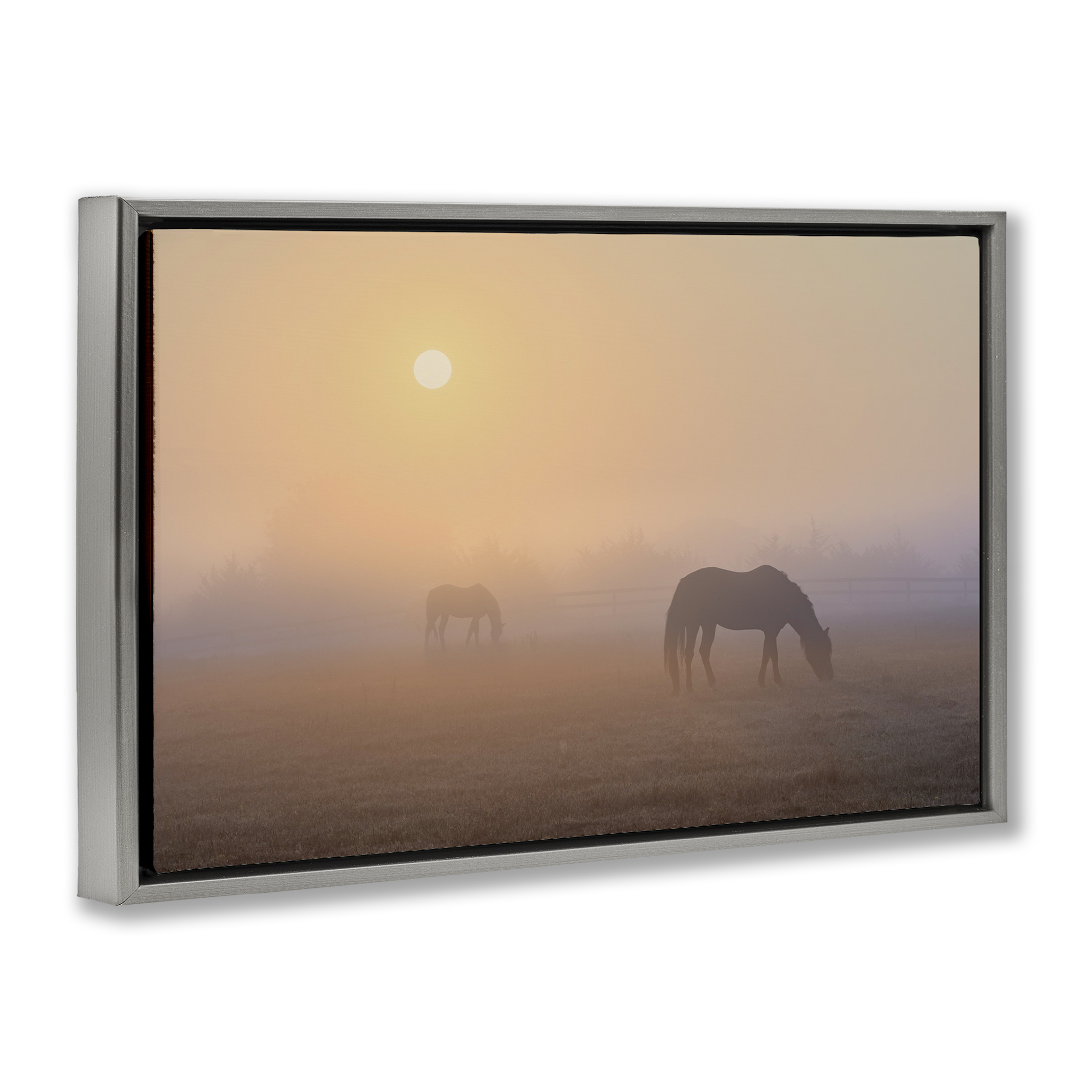 Stupell Industries Misty Sunlit Horses Landscape & Nature Photography Gray Floater Framed Canvas Art Print Wall Art, 31 x 21
