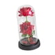 thumbnail image 5 of Regalos de San Valentín para ella: flores preservadas iluminadas, decoración creativa para el hogar rojo con base negra, 5 of 9