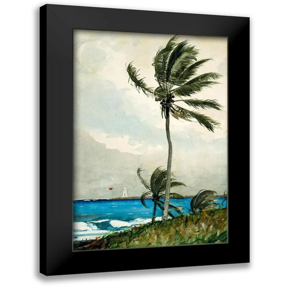 Homer, Winslow 11x14 Black Modern Framed Museum Art Print Titled - Palm Tree, Nassau