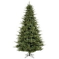 thumbnail image 1 of Vickerman 18276 - 7.5' x 55" Catalina Frasier Fir 750 Clear Lights Christmas Tree (A102776), 1 of 1