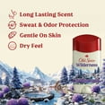 thumbnail image 2 of Old Spice Men's Antiperspirant Deodorant Invisible Solid Stick, Wilderness with Lavender, 2.6oz, 2 of 8